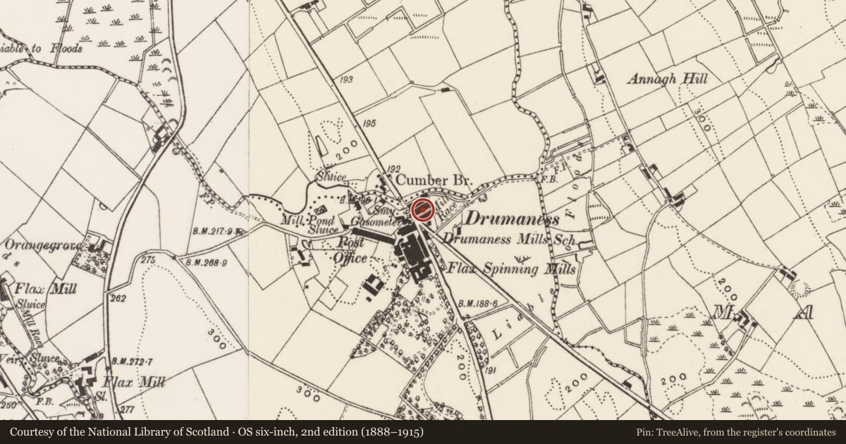 Ordnance Survey six-inch map, 2nd edition (1888–1915) covering the location of 11 AND 13 The Green, Newry, Mourne and Down, with a pin at the register's coordinates
