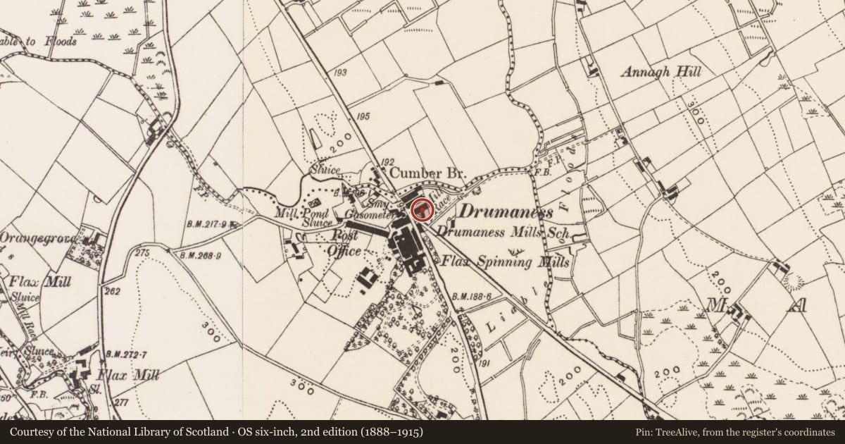Ordnance Survey six-inch map, 2nd edition (1888–1915) covering the location of 12 The Green, Newry, Mourne and Down, with a pin at the register's coordinates