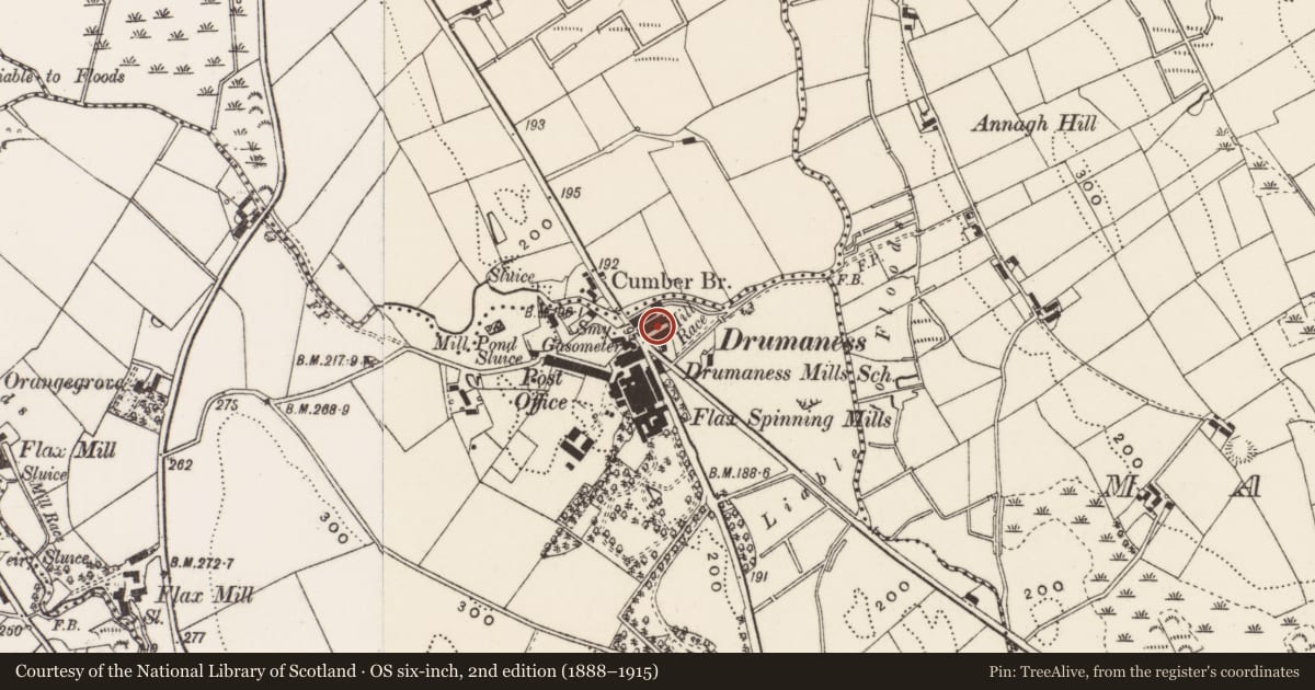 Ordnance Survey six-inch map, 2nd edition (1888–1915) covering the location of 15 The Green, Newry, Mourne and Down, with a pin at the register's coordinates