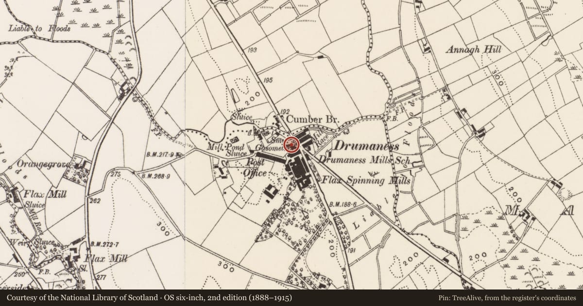 Ordnance Survey six-inch map, 2nd edition (1888–1915) covering the location of Dan Rice Memorial Recreation Hall, Newry, Mourne and Down, with a pin at the register's coordinates