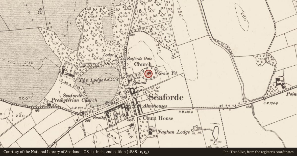 Ordnance Survey six-inch map, 2nd edition (1888–1915) covering the location of Loughinisland C of I parish church, Naghan, Newry, Mourne and Down, with a pin at the register's coordinates