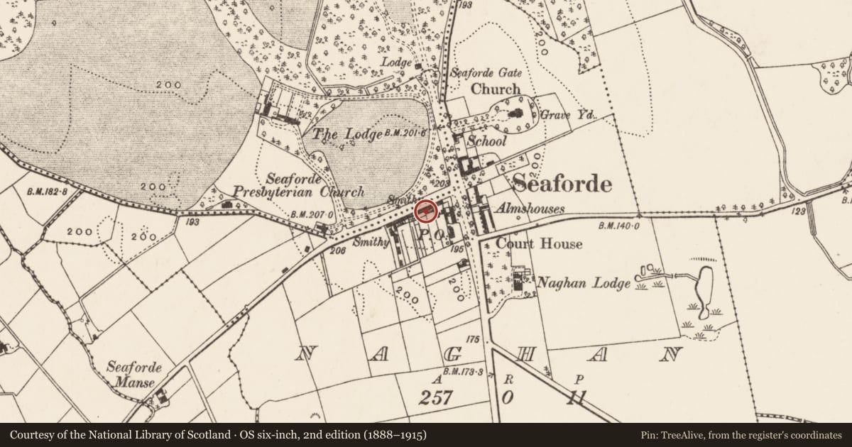 Ordnance Survey six-inch map, 2nd edition (1888–1915) covering the location of 8 Main Street, Naghan, Newry, Mourne and Down, with a pin at the register's coordinates