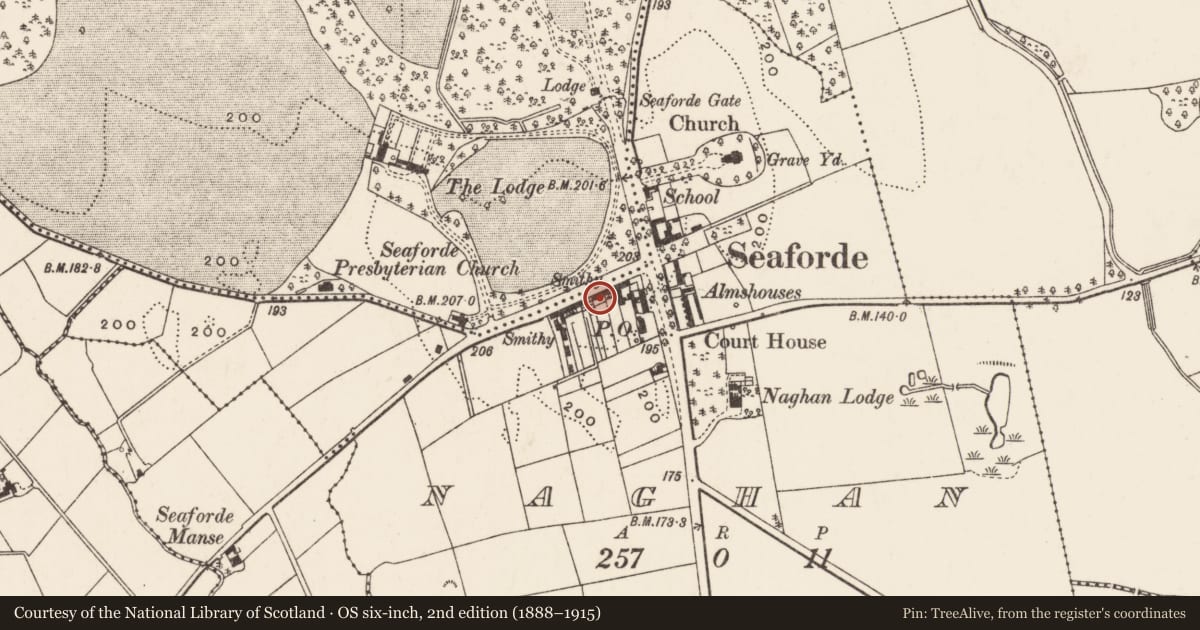 Ordnance Survey six-inch map, 2nd edition (1888–1915) covering the location of 10 Main Street, Naghan, Newry, Mourne and Down, with a pin at the register's coordinates