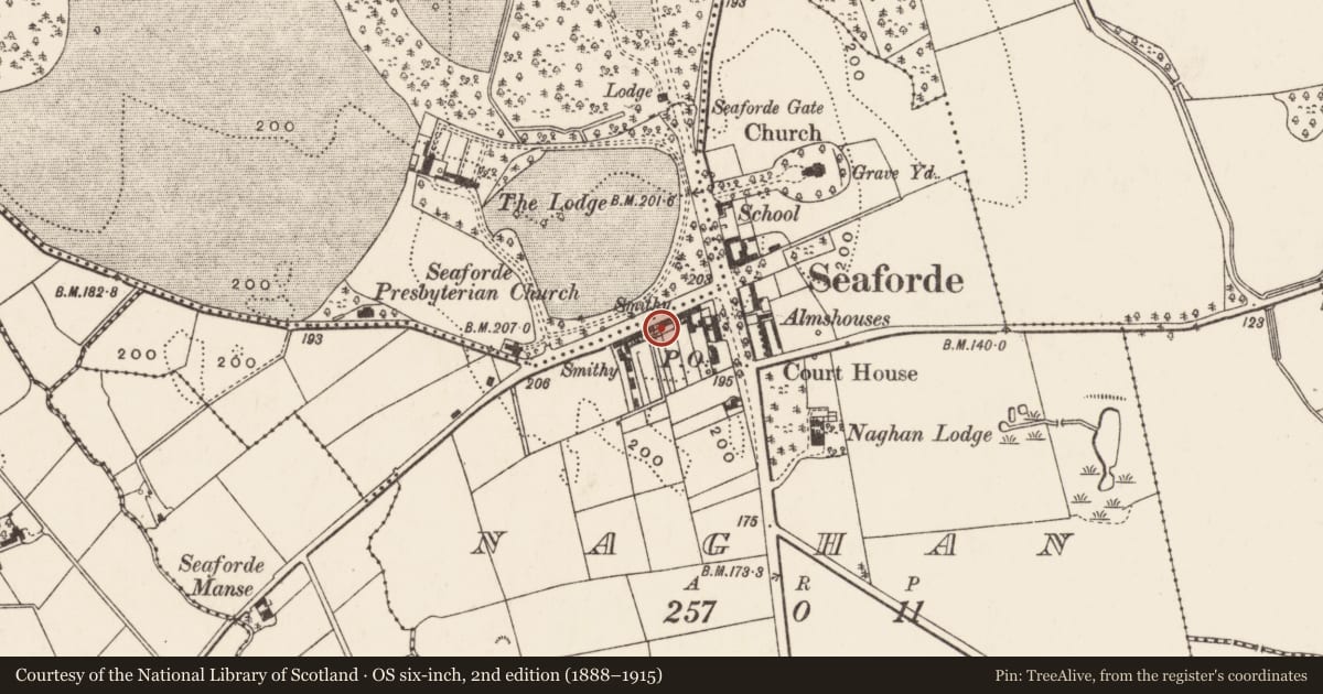Ordnance Survey six-inch map, 2nd edition (1888–1915) covering the location of 12 Main Street, Naghan, Newry, Mourne and Down, with a pin at the register's coordinates