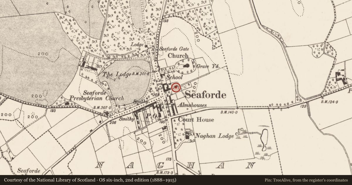 Ordnance Survey six-inch map, 2nd edition (1888–1915) covering the location of 186a Newcastle Road, Naghan, Newry, Mourne and Down, with a pin at the register's coordinates