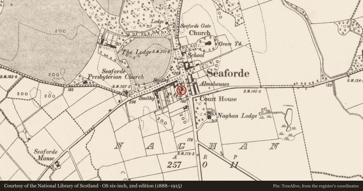 Ordnance Survey six-inch map, 2nd edition (1888–1915) covering the location of 195 Newcastle Road, Newry, Mourne and Down, with a pin at the register's coordinates