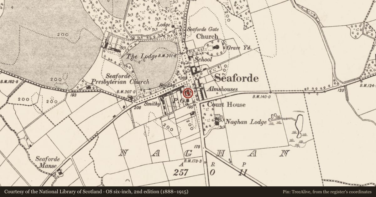 Ordnance Survey six-inch map, 2nd edition (1888–1915) covering the location of 193 Newcastle Road, Newry, Mourne and Down, with a pin at the register's coordinates