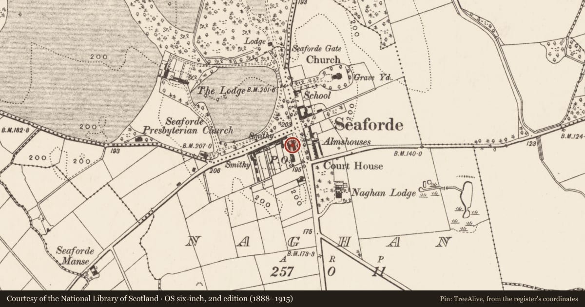 Ordnance Survey six-inch map, 2nd edition (1888–1915) covering the location of 191 Newcastle Road, Newry, Mourne and Down, with a pin at the register's coordinates