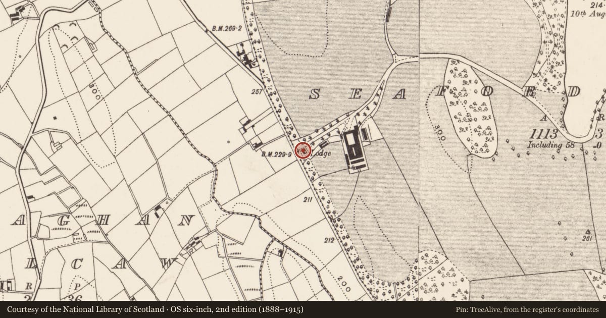 Ordnance Survey six-inch map, 2nd edition (1888–1915) covering the location of West gate lodge, Seaforde Demesne, Newry, Mourne and Down, with a pin at the register's coordinates