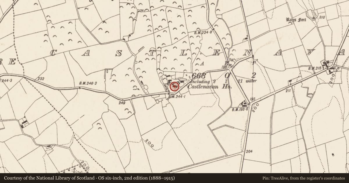 Ordnance Survey six-inch map, 2nd edition (1888–1915) covering the location of Castlenavin, Castlenavan, Newry, Mourne and Down, with a pin at the register's coordinates