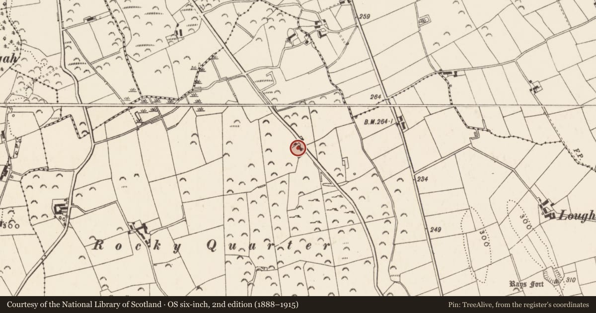 Ordnance Survey six-inch map, 2nd edition (1888–1915) covering the location of 127 Newcastle Road, Castlenavan, Newry, Mourne and Down, with a pin at the register's coordinates