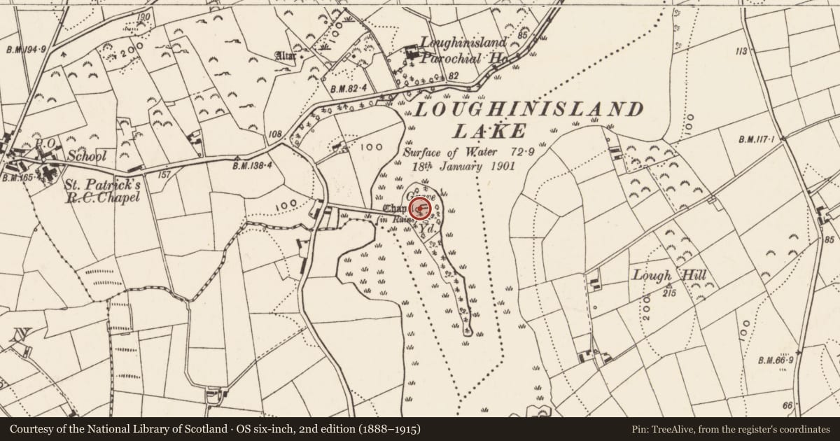 Ordnance Survey six-inch map, 2nd edition (1888–1915) covering the location of Loughinisland churches, Tievendarragh, Newry, Mourne and Down, with a pin at the register's coordinates