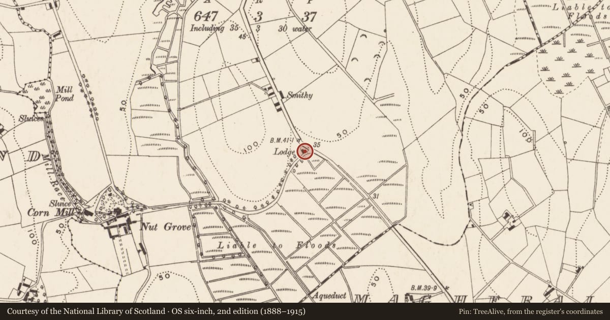 Ordnance Survey six-inch map, 2nd edition (1888–1915) covering the location of Site of former house off Nutgrove Road, Annadorn, Newry, Mourne and Down, with a pin at the register's coordinates