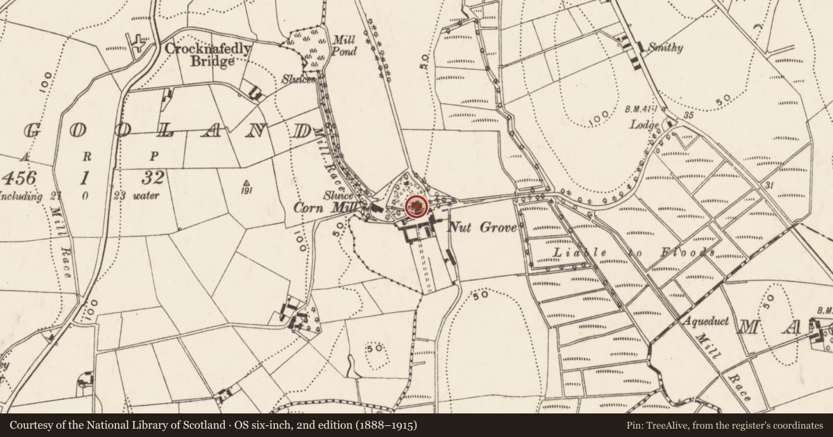 Ordnance Survey six-inch map, 2nd edition (1888–1915) covering the location of Nut Grove, Annadorn, Newry, Mourne and Down, with a pin at the register's coordinates