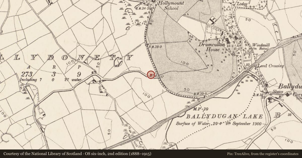 Ordnance Survey six-inch map, 2nd edition (1888–1915) covering the location of 50 Drumcullan Road, Ballydonety, Newry, Mourne and Down, with a pin at the register's coordinates