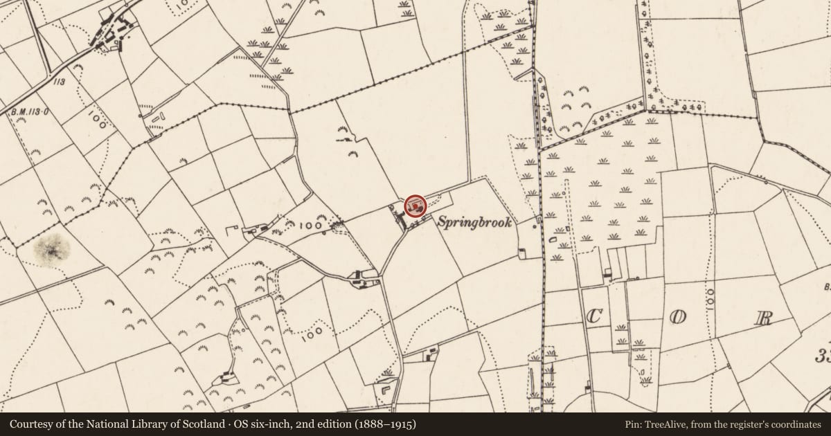 Ordnance Survey six-inch map, 2nd edition (1888–1915) covering the location of Springbrook, Tobercorran, Newry, Mourne and Down, with a pin at the register's coordinates