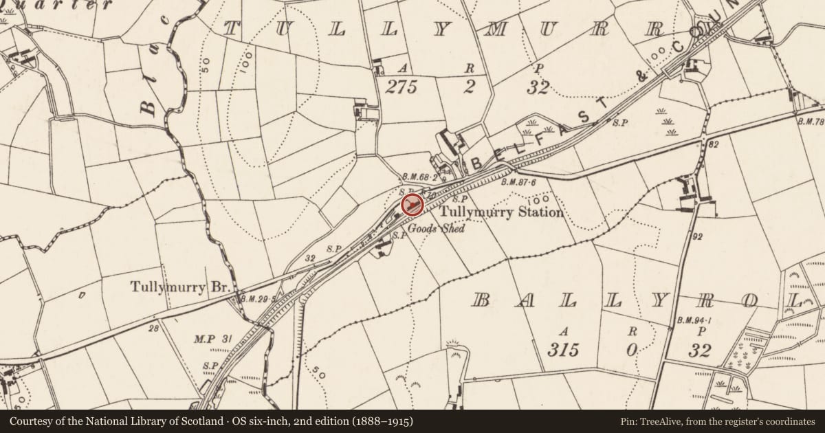 Ordnance Survey six-inch map, 2nd edition (1888–1915) covering the location of Former Station master's house (and waiting room), Tullymurry, Newry, Mourne and Down, with a pin at the register's coordinates