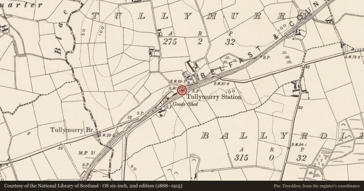 Ordnance Survey six-inch map, 2nd edition (1888–1915) covering the location of Disused Signal Box, Tullymurry, Newry, Mourne and Down, with a pin at the register's coordinates