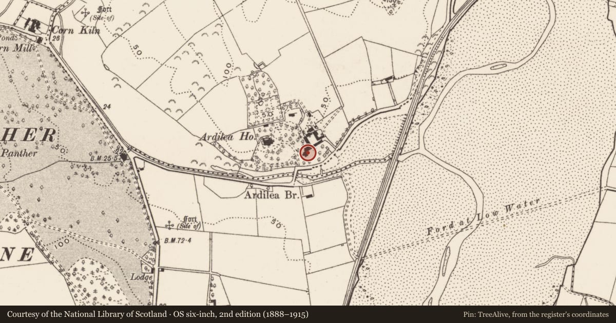 Ordnance Survey six-inch map, 2nd edition (1888–1915) covering the location of Ardilea House, Newry, Mourne and Down, with a pin at the register's coordinates