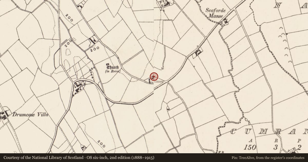 Ordnance Survey six-inch map, 2nd edition (1888–1915) covering the location of 23 Manse Road, Drumcaw, Newry, Mourne and Down, with a pin at the register's coordinates