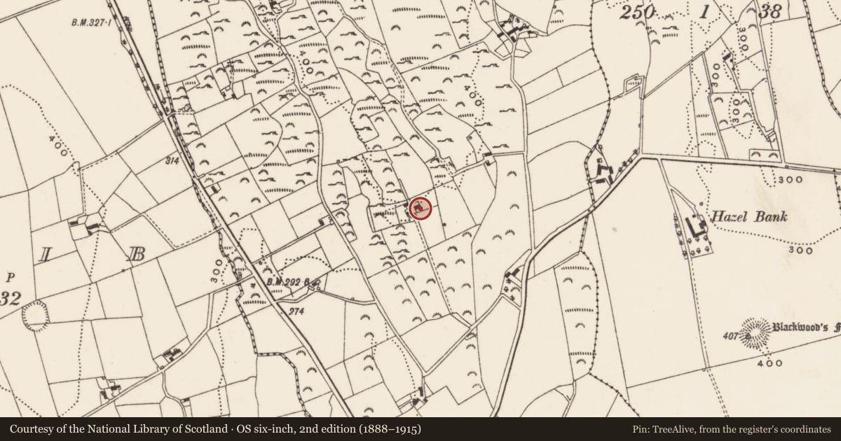 Ordnance Survey six-inch map, 2nd edition (1888–1915) covering the location of Horse walk at 97 Tannaghmore Road, Newry, Mourne and Down, with a pin at the register's coordinates
