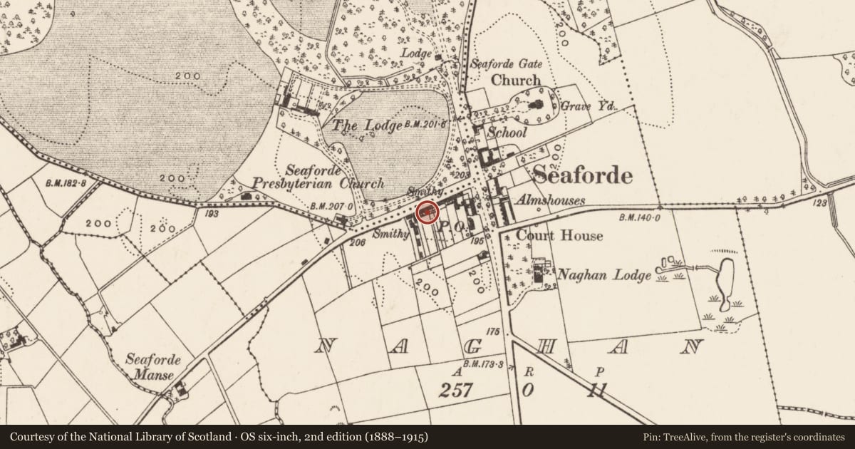 Ordnance Survey six-inch map, 2nd edition (1888–1915) covering the location of 14 Main Street, Naghan, Newry, Mourne and Down, with a pin at the register's coordinates