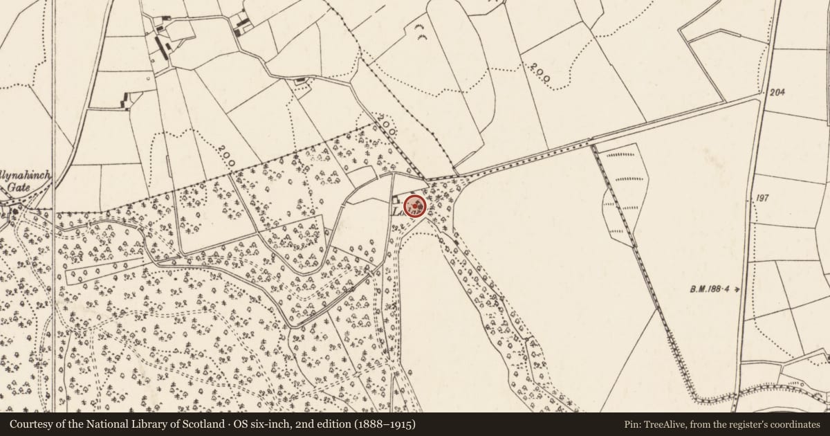 Ordnance Survey six-inch map, 2nd edition (1888–1915) covering the location of Estate Worker's lodge, Seaforde Demesne, Newry, Mourne and Down, with a pin at the register's coordinates