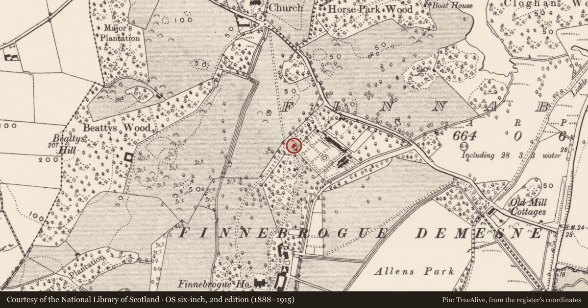 Ordnance Survey six-inch map, 2nd edition (1888–1915) covering the location of Gardener's bothy at Finnebrogue estate, Finnabrogue, Newry, Mourne and Down, with a pin at the register's coordinates