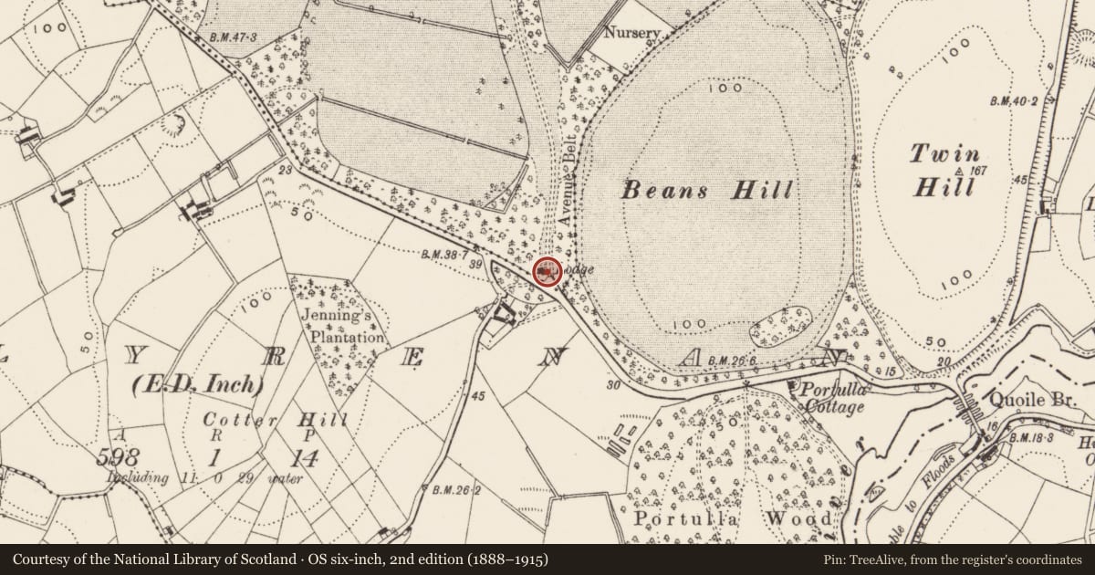 Ordnance Survey six-inch map, 2nd edition (1888–1915) covering the location of Entrance gates at Finnebrogue House, Finnabrogue, Newry, Mourne and Down, with a pin at the register's coordinates