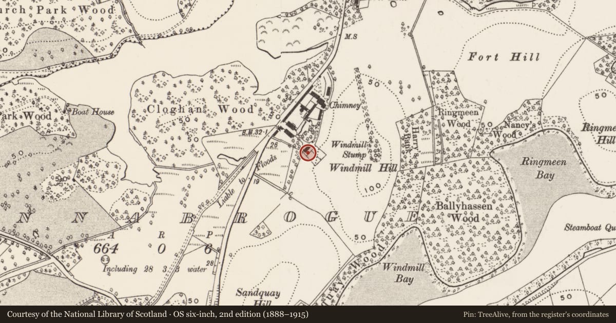 Ordnance Survey six-inch map, 2nd edition (1888–1915) covering the location of Former Caretaker's house at Finnebrogue estate farmyard, Finnabrogue, Newry, Mourne and Down, with a pin at the register's coordinates