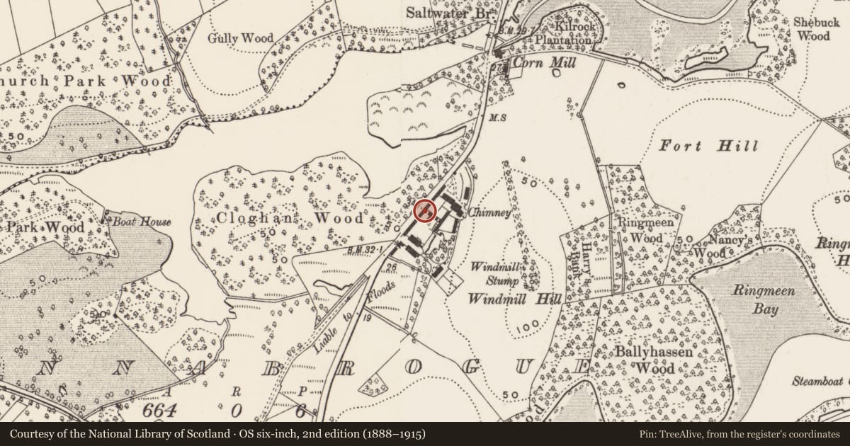 Ordnance Survey six-inch map, 2nd edition (1888–1915) covering the location of Hayshed, sheds and barn to north-west side of Finnebrogue estate farmyard, Finnabrogue, Newry, Mourne and Down, with a pin at the register's coordinates