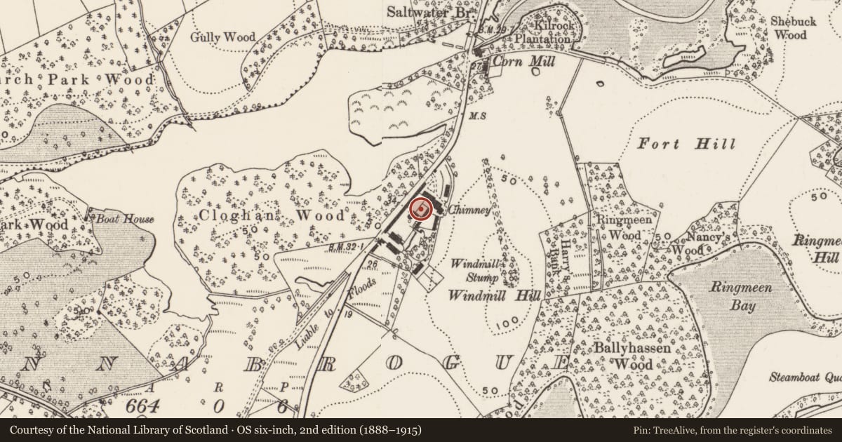 Ordnance Survey six-inch map, 2nd edition (1888–1915) covering the location of Shed (to west) at Finnebrogue estate farmyard, Finnabrogue, Newry, Mourne and Down, with a pin at the register's coordinates
