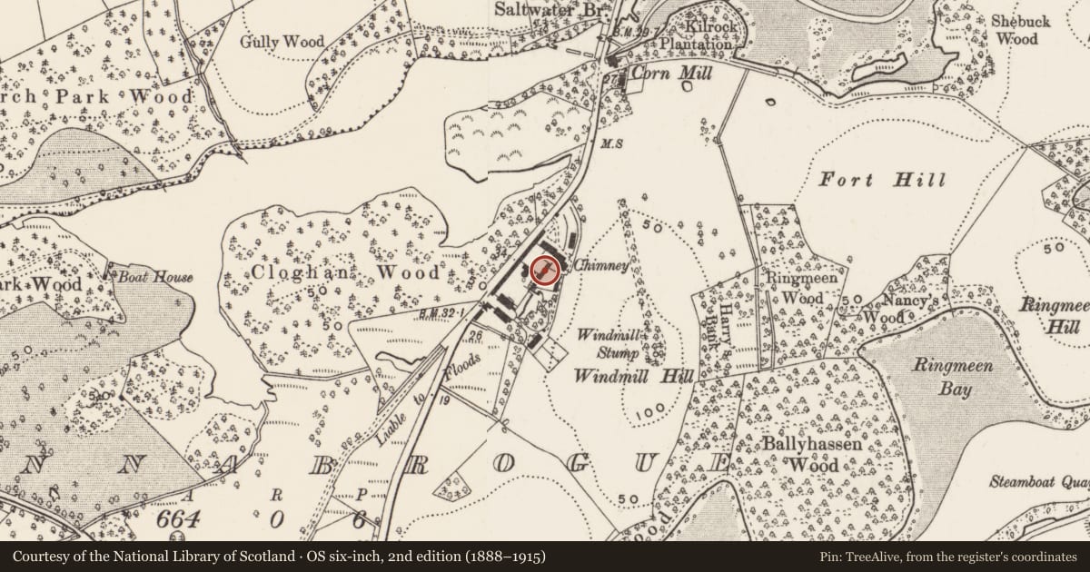 Ordnance Survey six-inch map, 2nd edition (1888–1915) covering the location of Shed (to E) at Finnebrogue estate farmyard, Finnabrogue, Newry, Mourne and Down, with a pin at the register's coordinates