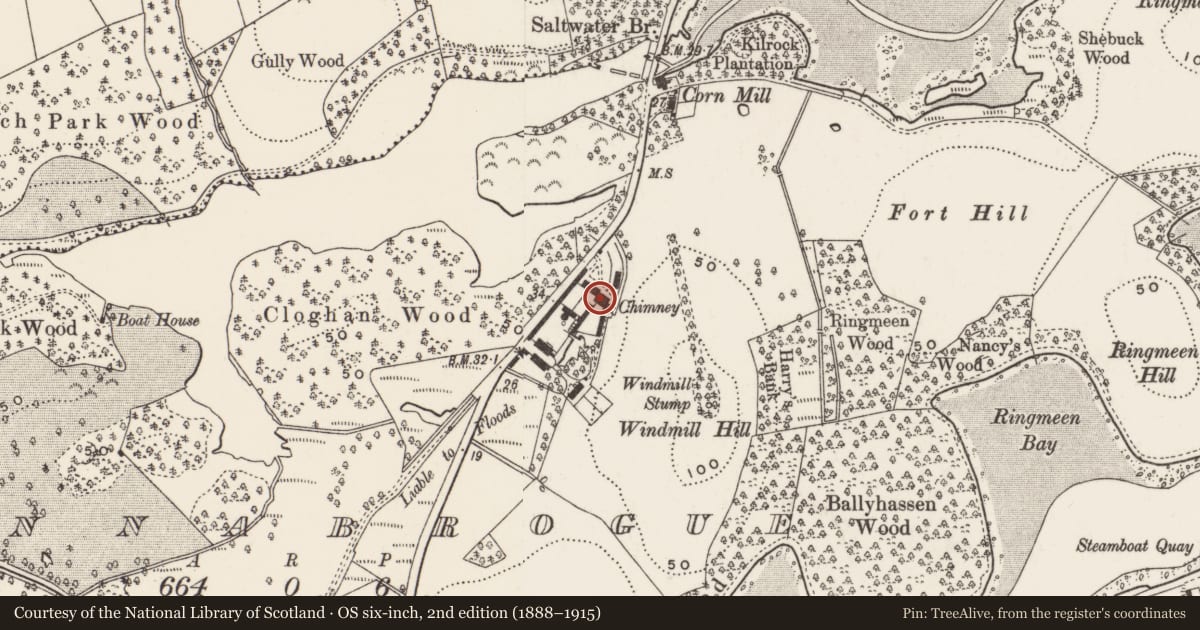 Ordnance Survey six-inch map, 2nd edition (1888–1915) covering the location of Corn store, granary, cowshed etc at Finnebrogue estate farmyard, Finnabrogue, Newry, Mourne and Down, with a pin at the register's coordinates