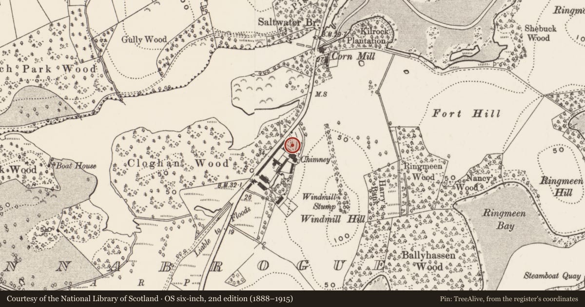 Ordnance Survey six-inch map, 2nd edition (1888–1915) covering the location of (Site of) silos and barn at Finnebrogue estate farmyard, Finnabrogue, Newry, Mourne and Down, with a pin at the register's coordinates