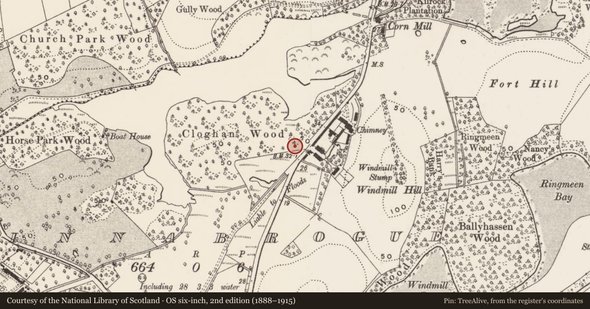 Ordnance Survey six-inch map, 2nd edition (1888–1915) covering the location of (Site of) Dutch barns at Finnebrogue estate farmyard, Finnabrogue, Newry, Mourne and Down, with a pin at the register's coordinates
