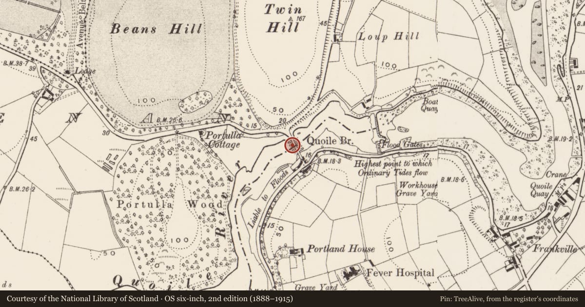 Ordnance Survey six-inch map, 2nd edition (1888–1915) covering the location of Quoile Bridge, Newry, Mourne and Down, with a pin at the register's coordinates