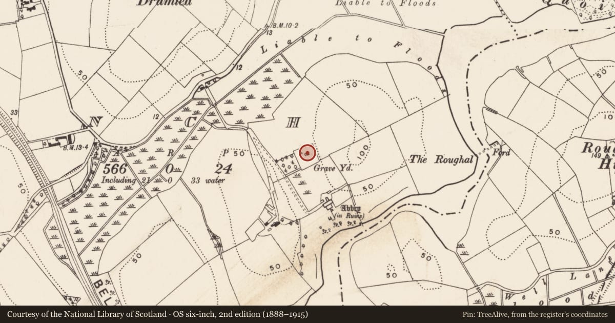 Ordnance Survey six-inch map, 2nd edition (1888–1915) covering the location of Percival-Maxwell Tomb, Newry, Mourne and Down, with a pin at the register's coordinates