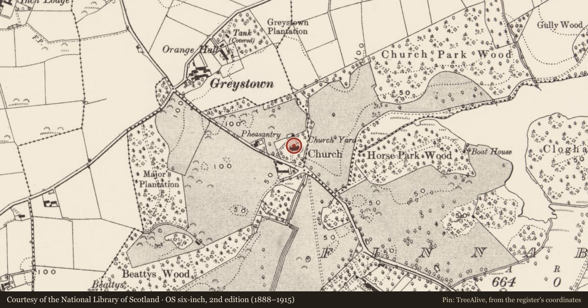 Ordnance Survey six-inch map, 2nd edition (1888–1915) covering the location of Inch Parish Church, Newry, Mourne and Down, with a pin at the register's coordinates