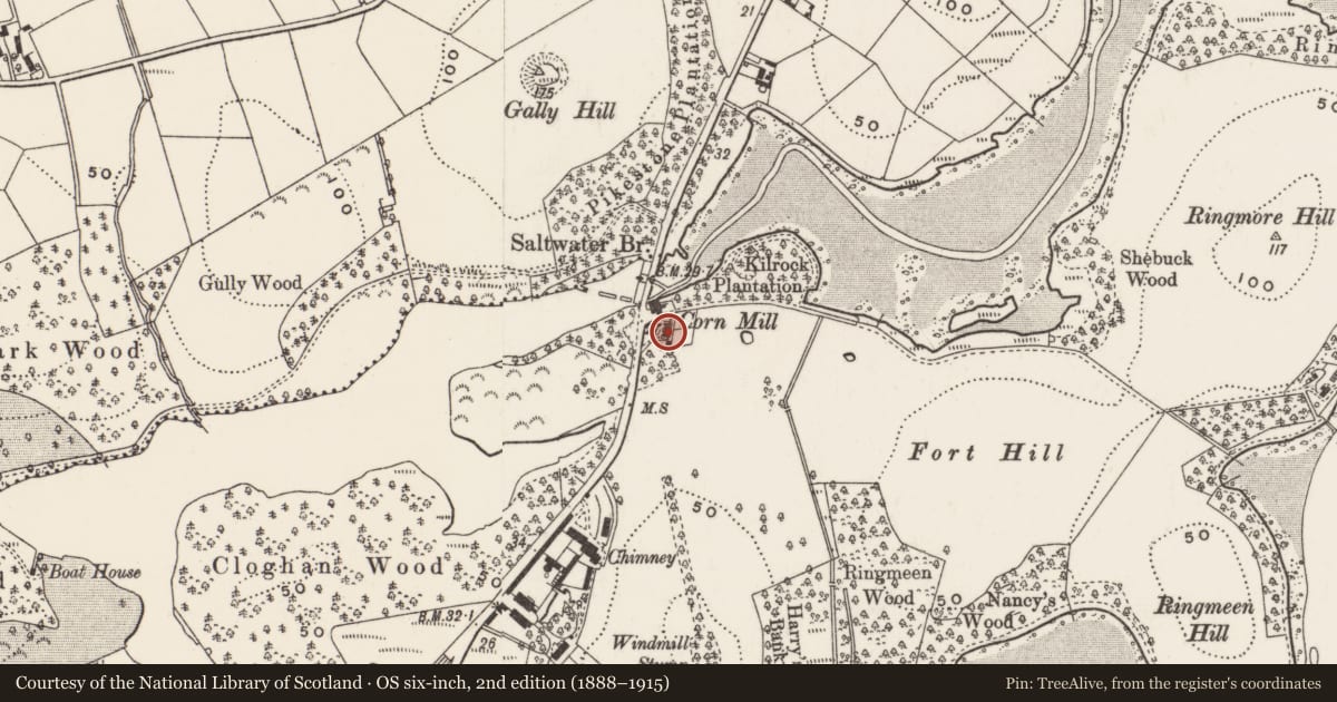 Ordnance Survey six-inch map, 2nd edition (1888–1915) covering the location of Saltwater Cottage, Newry, Mourne and Down, with a pin at the register's coordinates