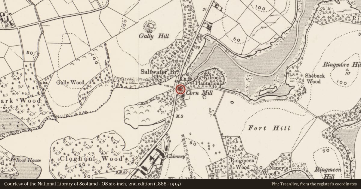 Ordnance Survey six-inch map, 2nd edition (1888–1915) covering the location of Saltwater Corn Mill, Newry, Mourne and Down, with a pin at the register's coordinates