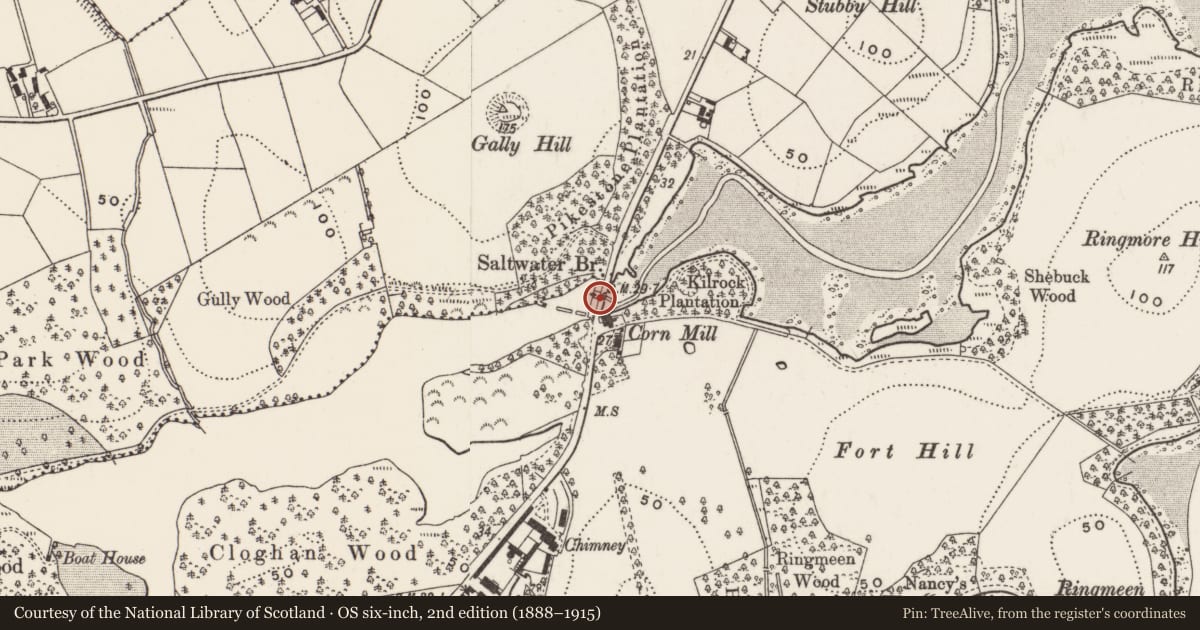 Ordnance Survey six-inch map, 2nd edition (1888–1915) covering the location of Saltwater Bridge, Newry, Mourne and Down, with a pin at the register's coordinates