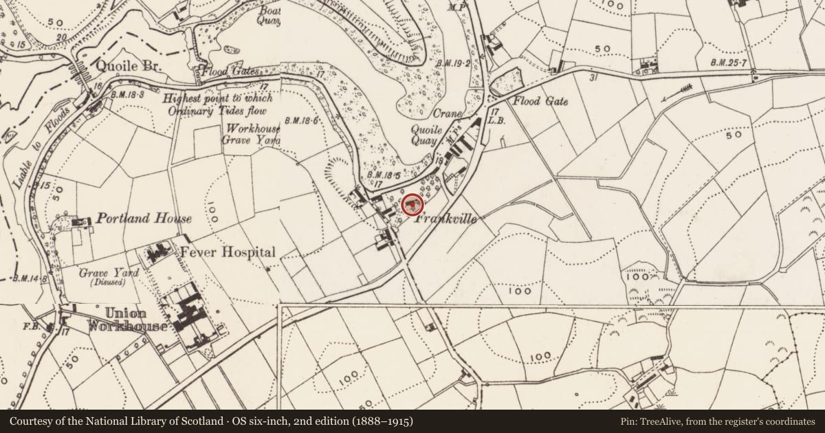 Ordnance Survey six-inch map, 2nd edition (1888–1915) covering the location of Frankville House, Newry, Mourne and Down, with a pin at the register's coordinates