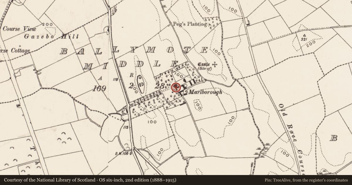 Ordnance Survey six-inch map, 2nd edition (1888–1915) covering the location of Marlborough House, Ballymot middle, Newry, Mourne and Down, with a pin at the register's coordinates
