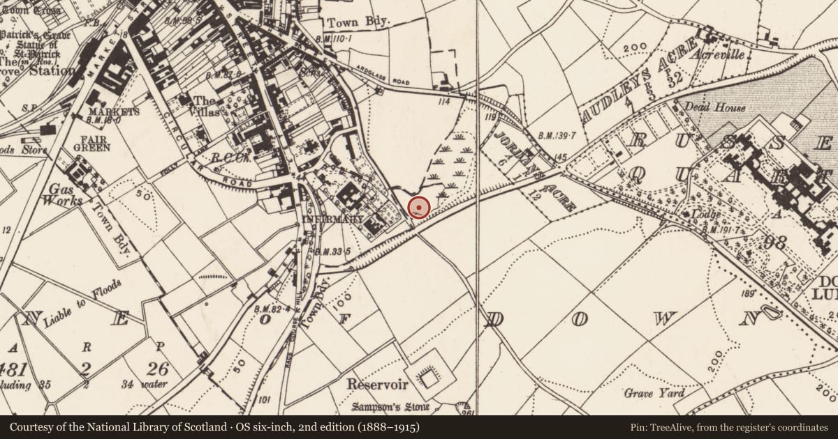 Ordnance Survey six-inch map, 2nd edition (1888–1915) covering the location of St Patricks Primary School, Downpatrick, Newry, Mourne and Down, with a pin at the register's coordinates