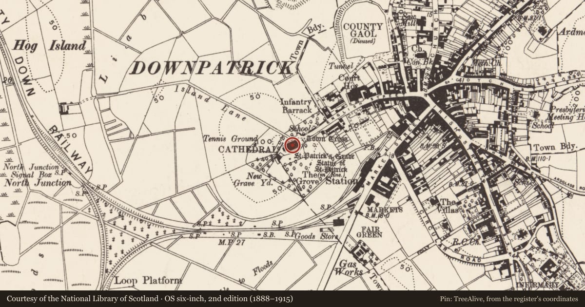 Ordnance Survey six-inch map, 2nd edition (1888–1915) covering the location of Holy Trinity Cathedral, Newry, Mourne and Down, with a pin at the register's coordinates