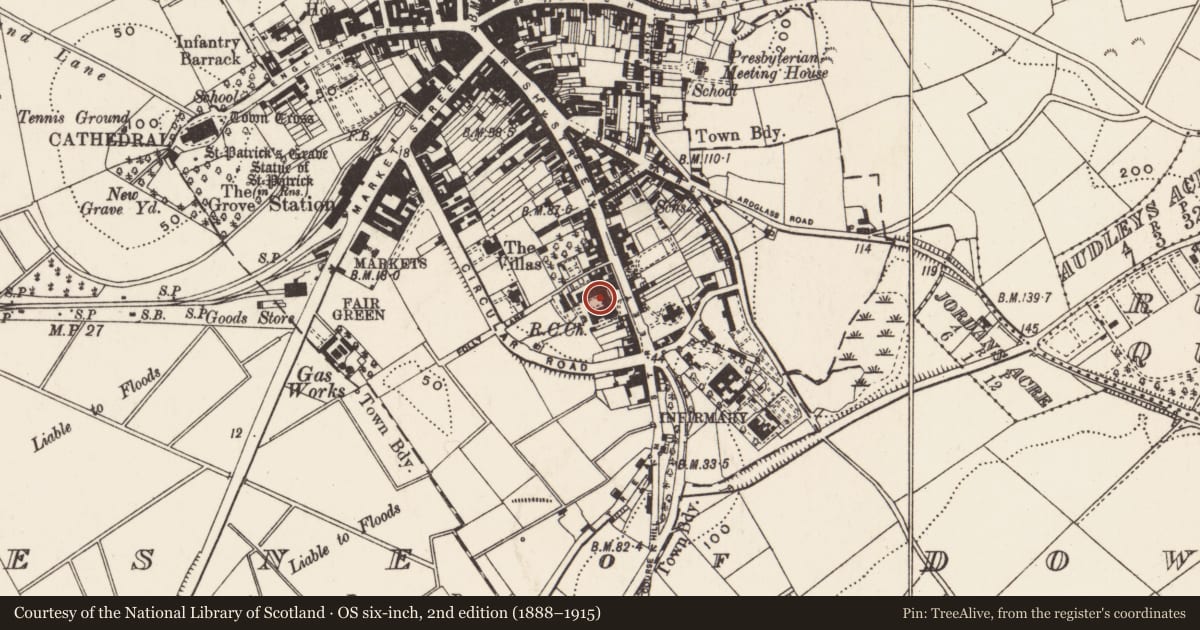 Ordnance Survey six-inch map, 2nd edition (1888–1915) covering the location of Convent Of Our Lady Of Mercy, Newry, Mourne and Down, with a pin at the register's coordinates