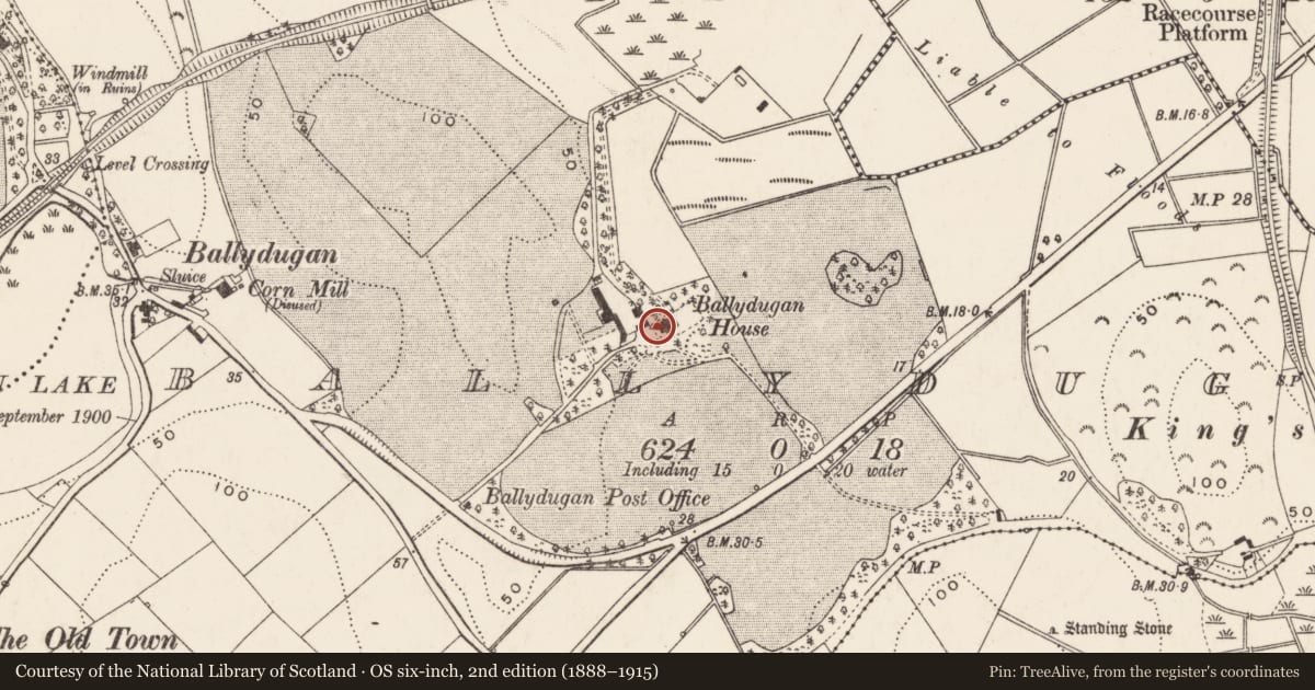 Ordnance Survey six-inch map, 2nd edition (1888–1915) covering the location of Ballydugan House, Newry, Mourne and Down, with a pin at the register's coordinates