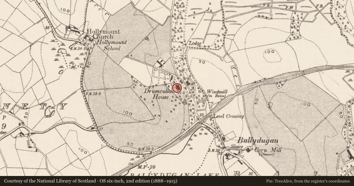 Ordnance Survey six-inch map, 2nd edition (1888–1915) covering the location of Drumcullan House, Newry, Mourne and Down, with a pin at the register's coordinates