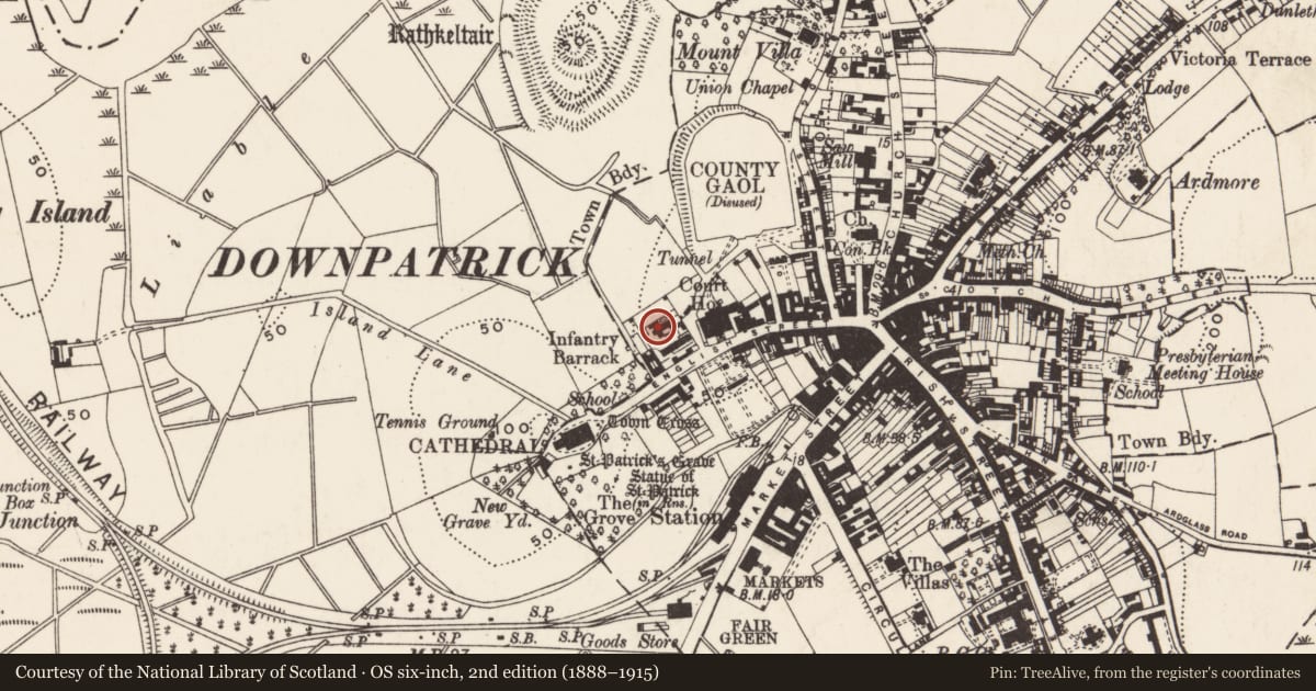 Ordnance Survey six-inch map, 2nd edition (1888–1915) covering the location of Cell Block, Newry, Mourne and Down, with a pin at the register's coordinates